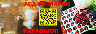 индика Краснознаменск