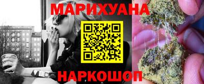 индика Краснознаменск