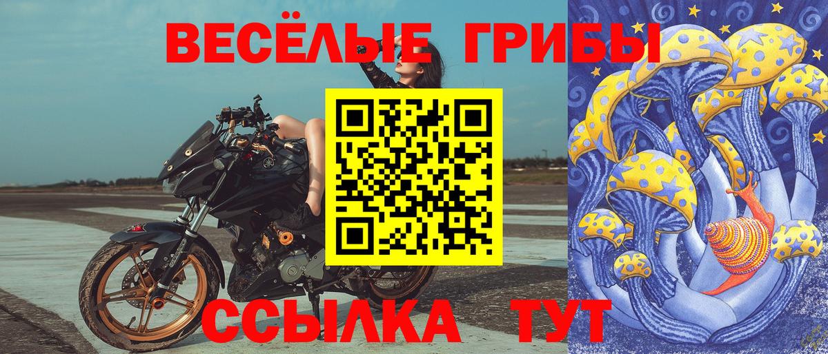 Котлас  Псилоцибиновые грибы мухоморы  Вход с VPN 