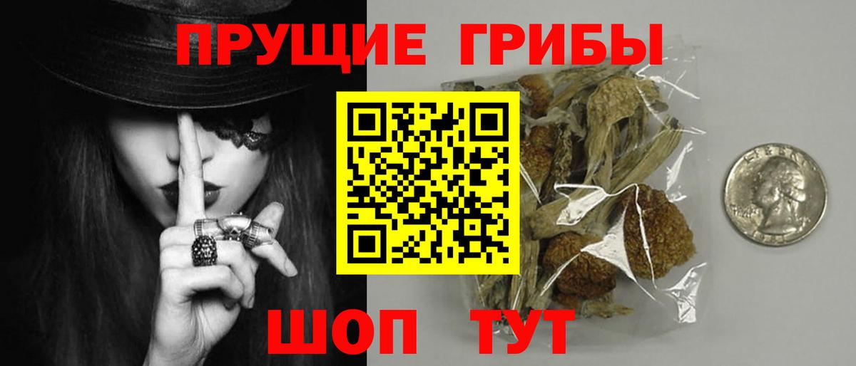 Галлюциногенные грибы Cubensis Котлас